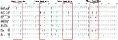 Genetic Diversity of Recent Infectious Bursal Disease Viruses Isolated From Vaccinated Poultry Flocks in Malaysia